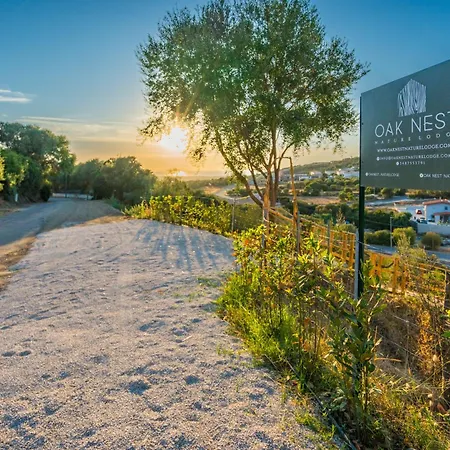 Oaknest Naturelodge - Dinotti *