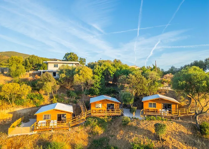 公寓 Oaknest Naturelodge - Dinotti 巴德希